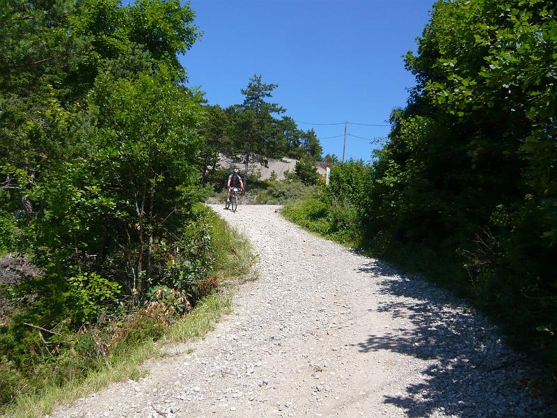 trieve (115).JPG